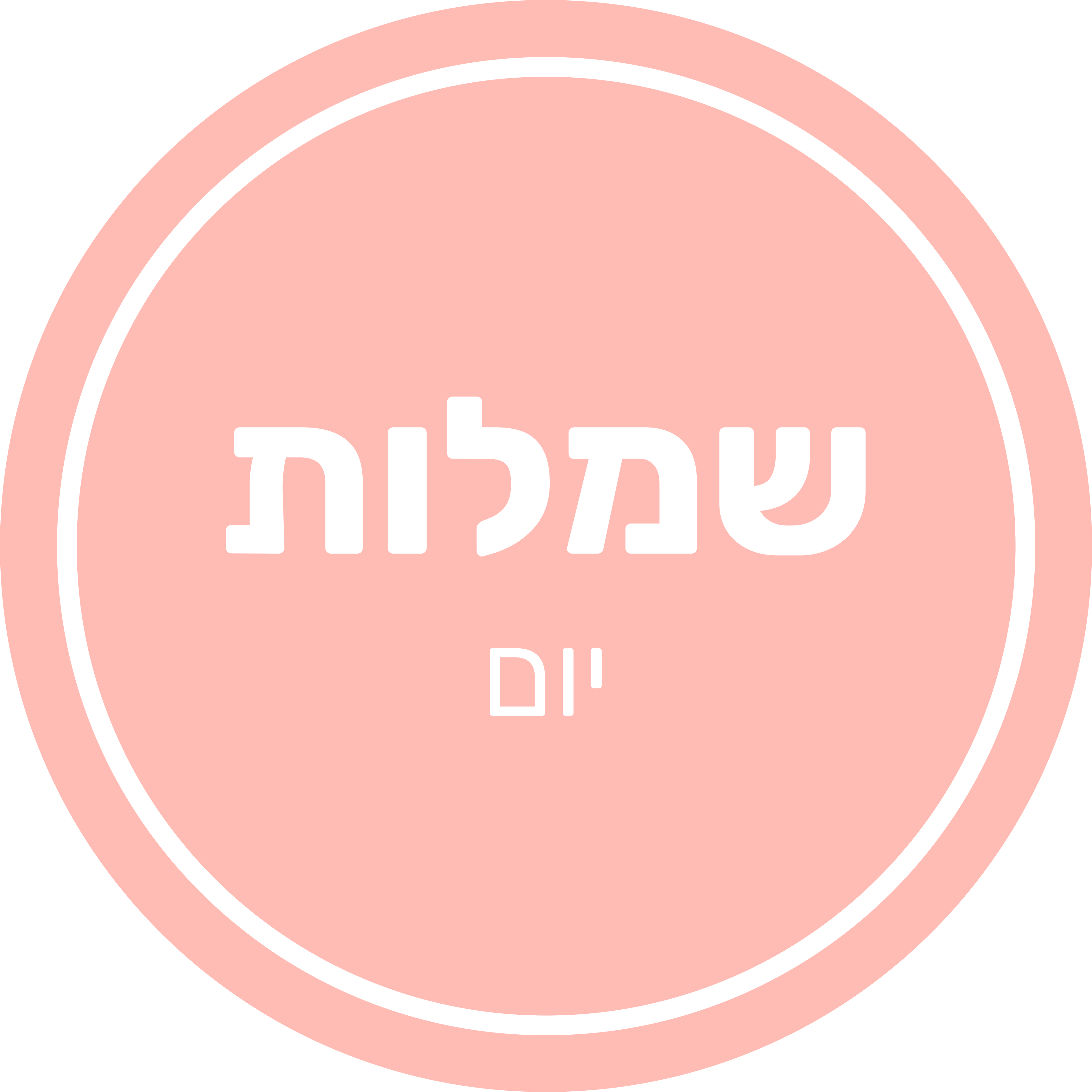 41 - יום