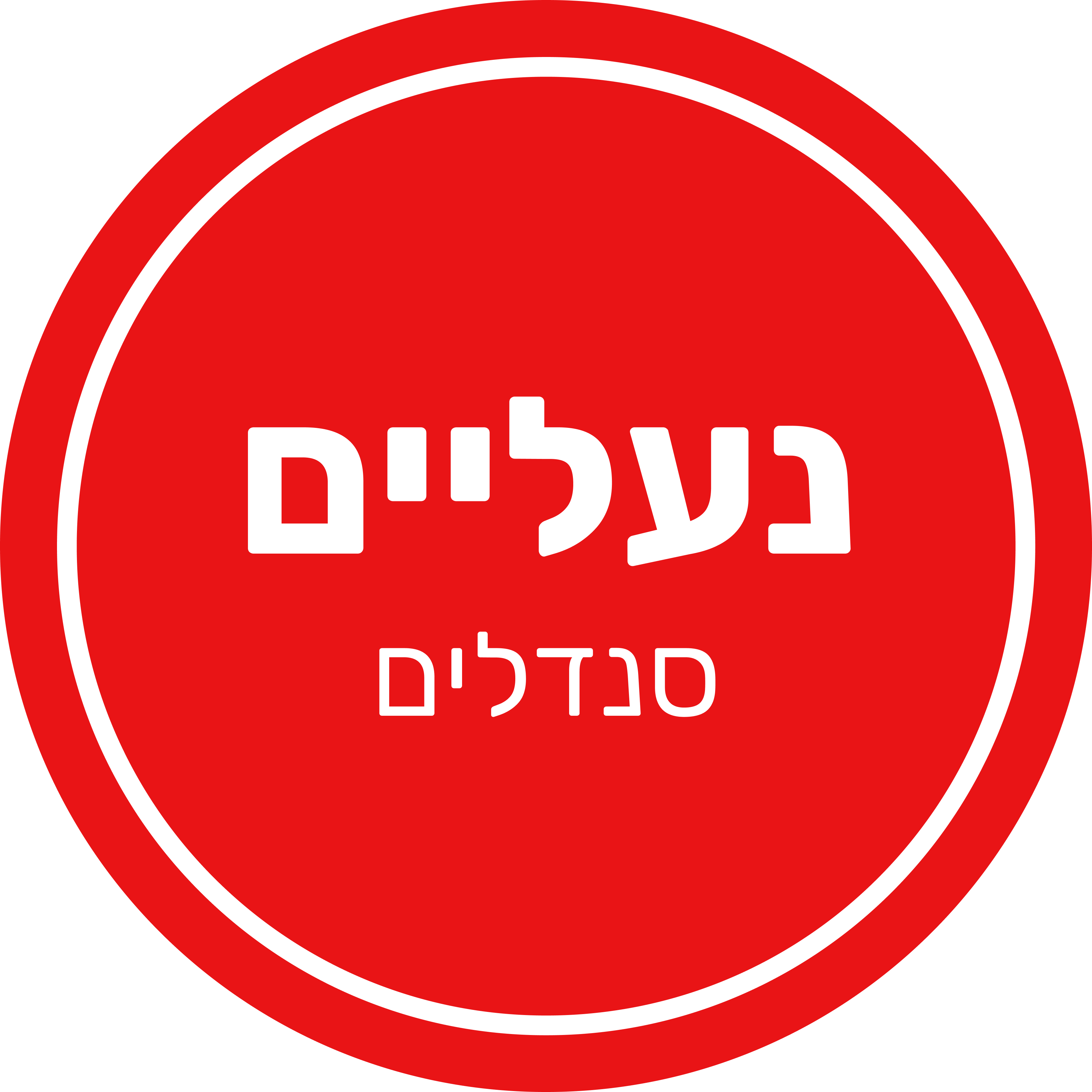 08 - סנדלים