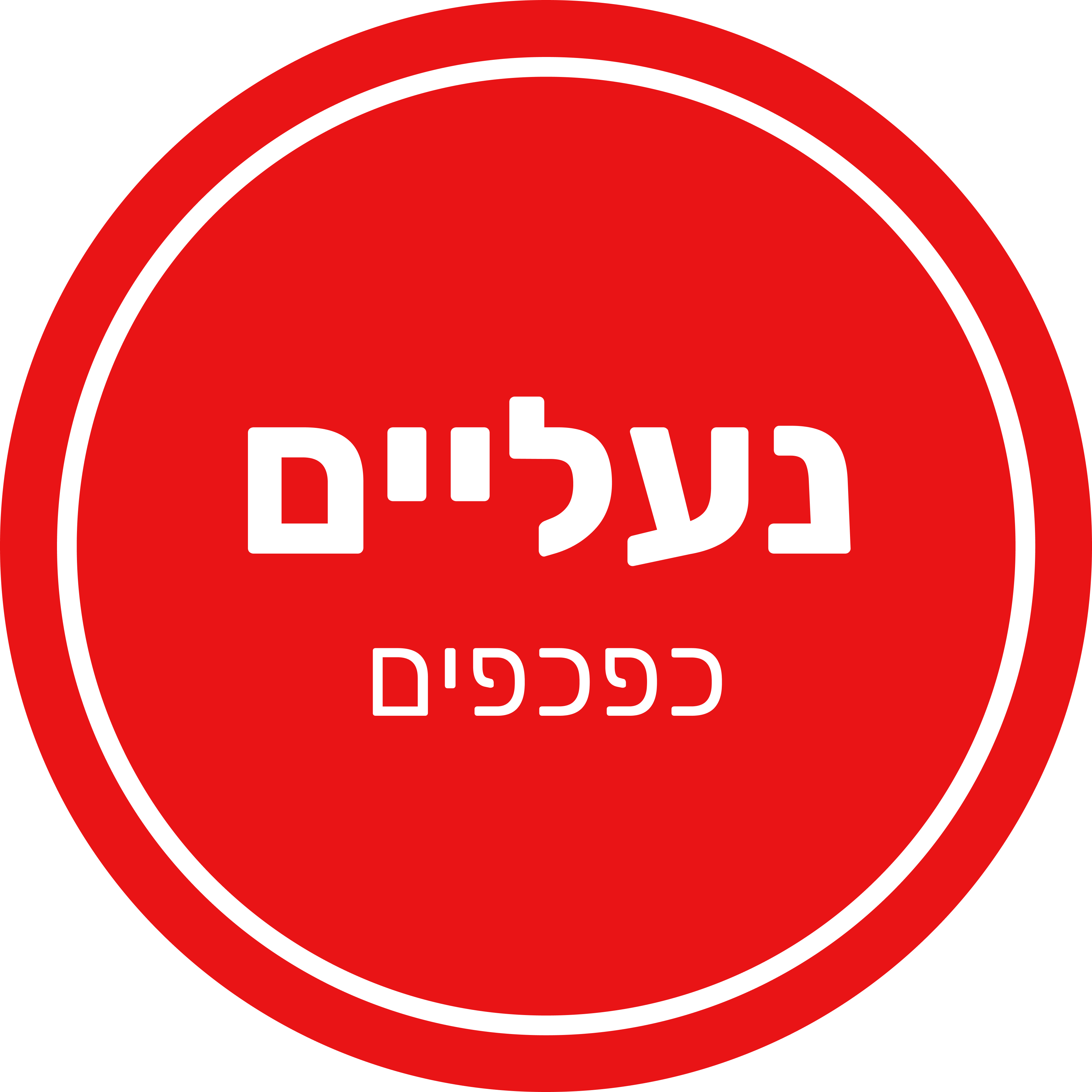 14 - כפכפים