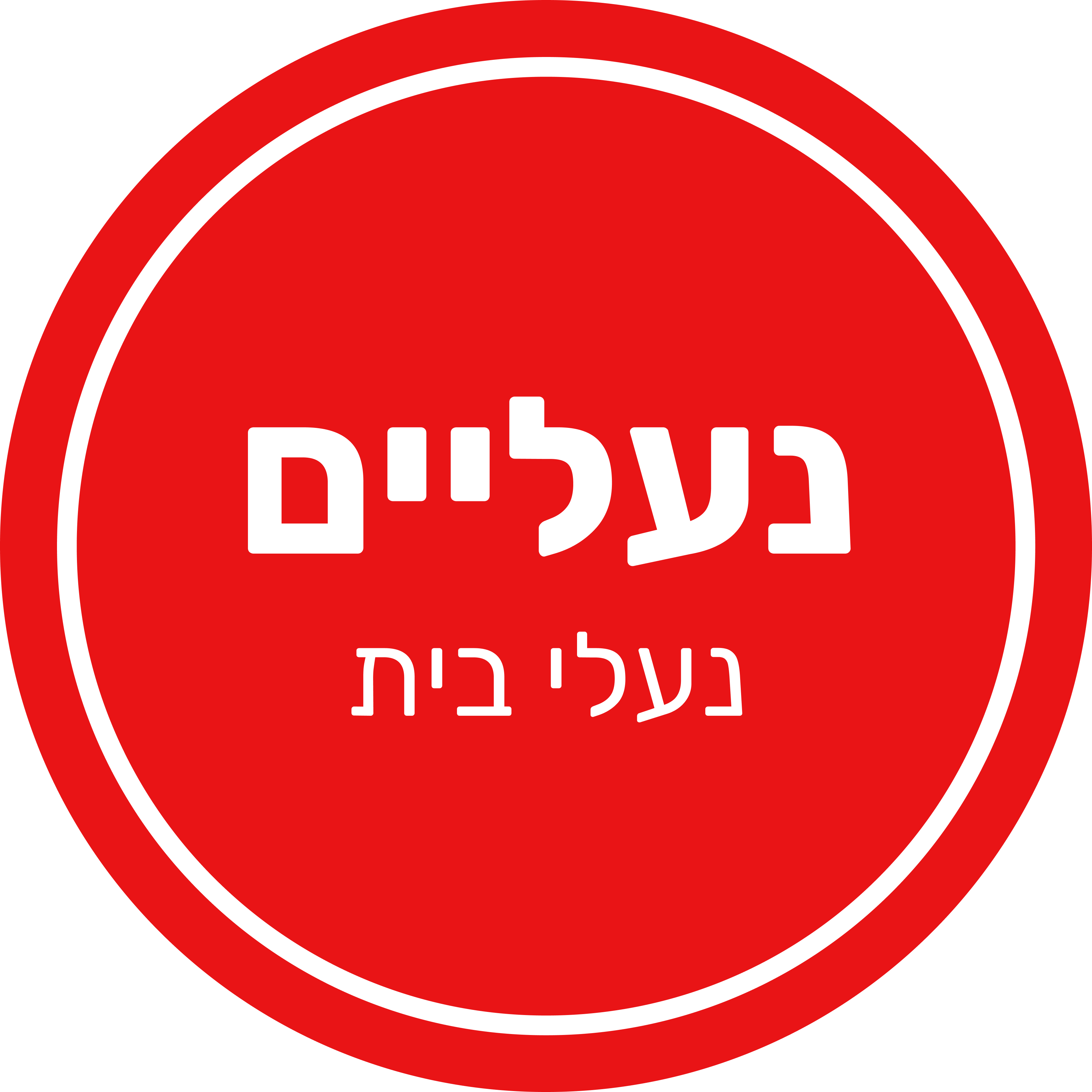 11 - נעלי בית