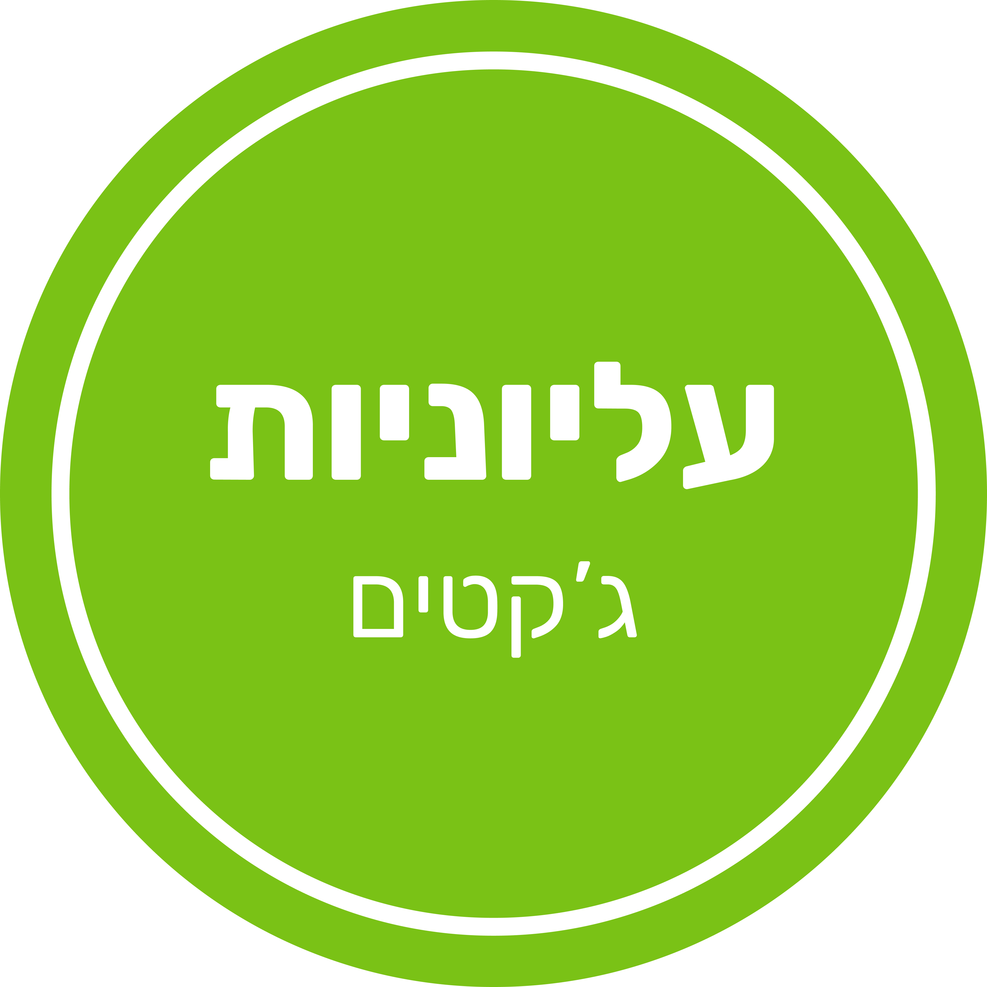 28 - ג'קטים